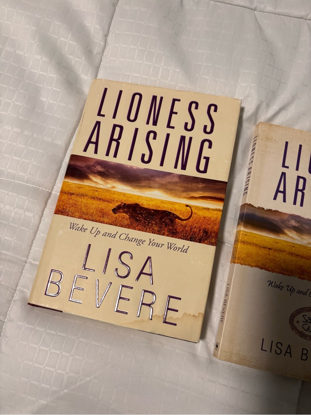 Lioness Arising by Lisa Bevere Hardback Book with Journal/Guide - Picture 3 of 6